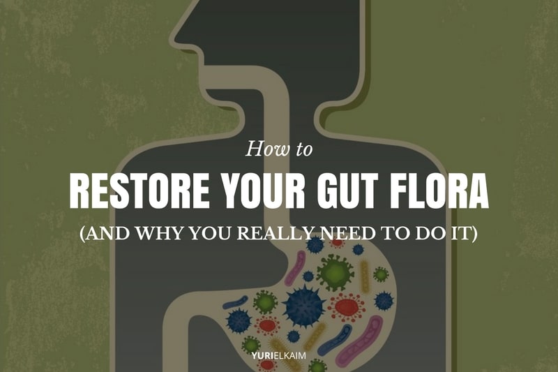 Restoring Gut Flora - How to Do It (And Why You Really Need to Do It)