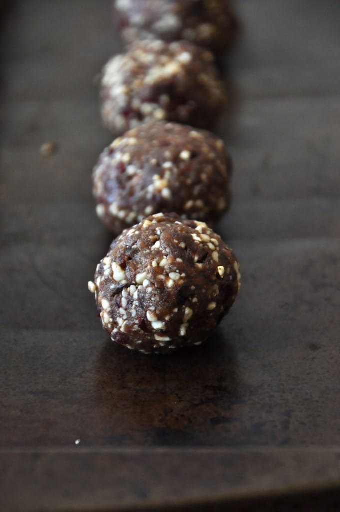 Chocolate Cashew Cookie Larabar Pops via Minimalist Baker