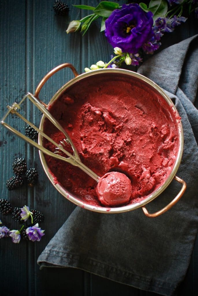 23 PaleoFriendly Blendtec and Vitamix Ice Cream Recipes Yuri Elkaim