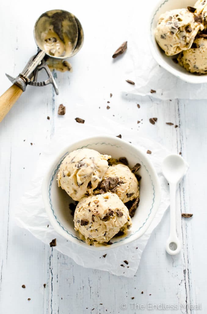23 PaleoFriendly Blendtec and Vitamix Ice Cream Recipes Yuri Elkaim